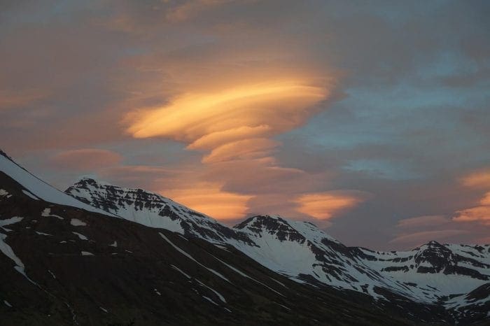 The Herring Guesthouse