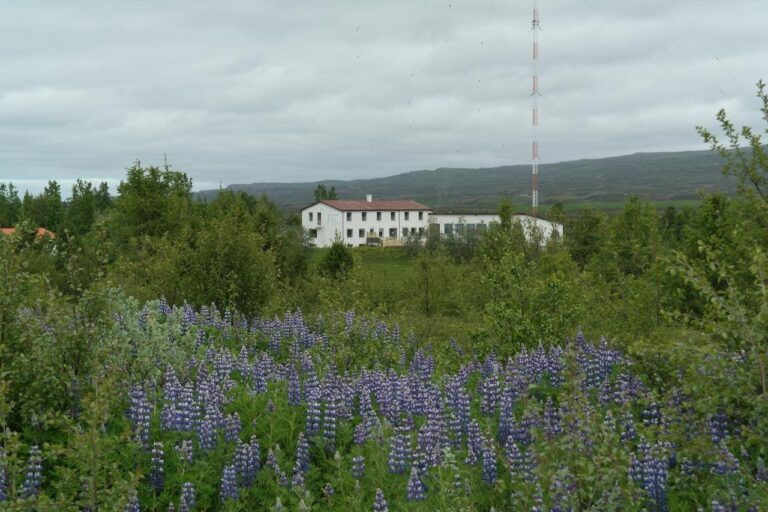 Vallnaholt Apartments and Rooms