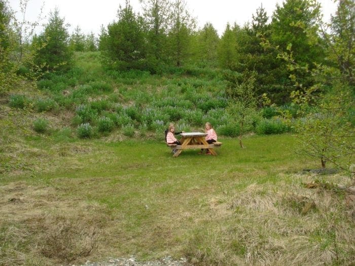 Vinland Camping Pods