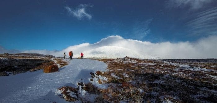 West Park Guesthouse