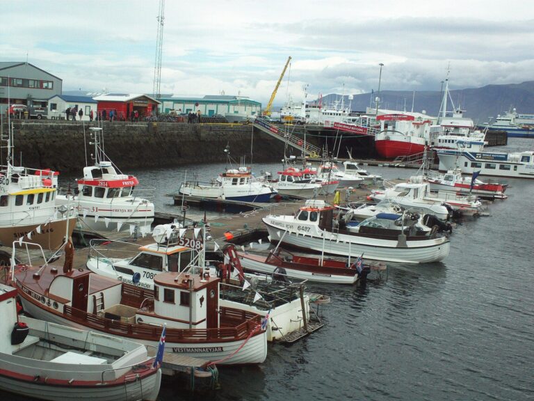 Reykjavík’s Old Harbor