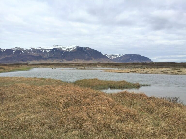 Landbrotalaug