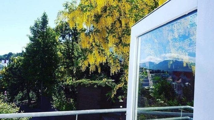 Akureyri Central Suite