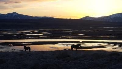 Hofsstadir Guesthouse