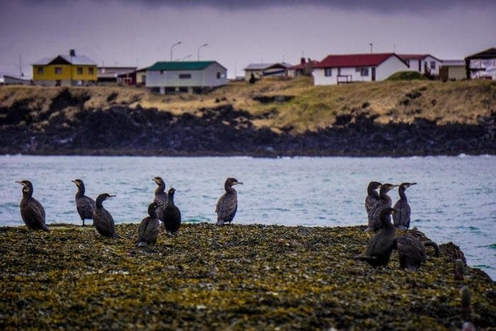 Brenna: Cliffside Apartment