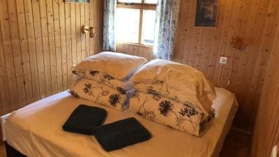 Cozy Cabin in the Woods