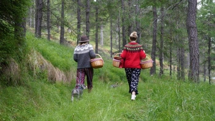 Kaldá Lyngholt Holiday Homes