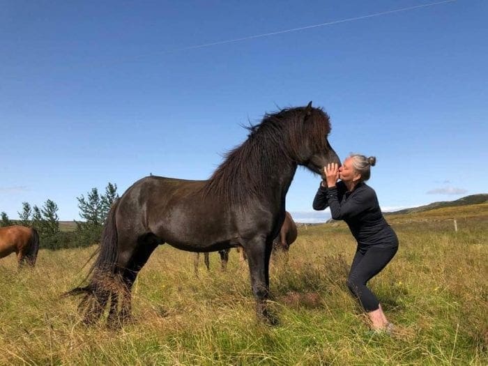 Jaðar – The Old House