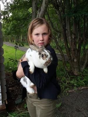 Bakkakot 2 – Cozy Cabins in the Woods