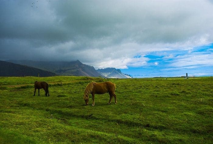 Hraunholl 4 Apartment