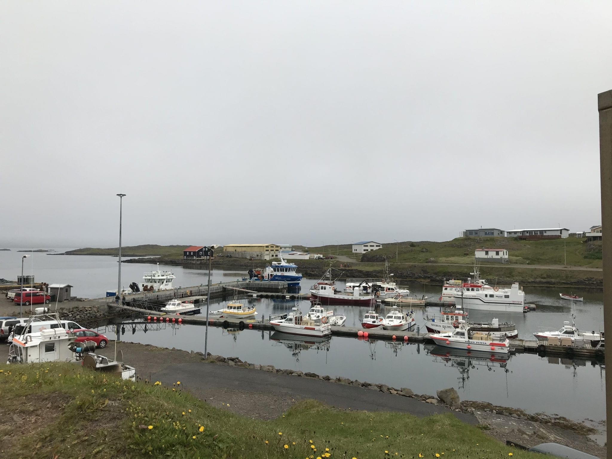 Höfn