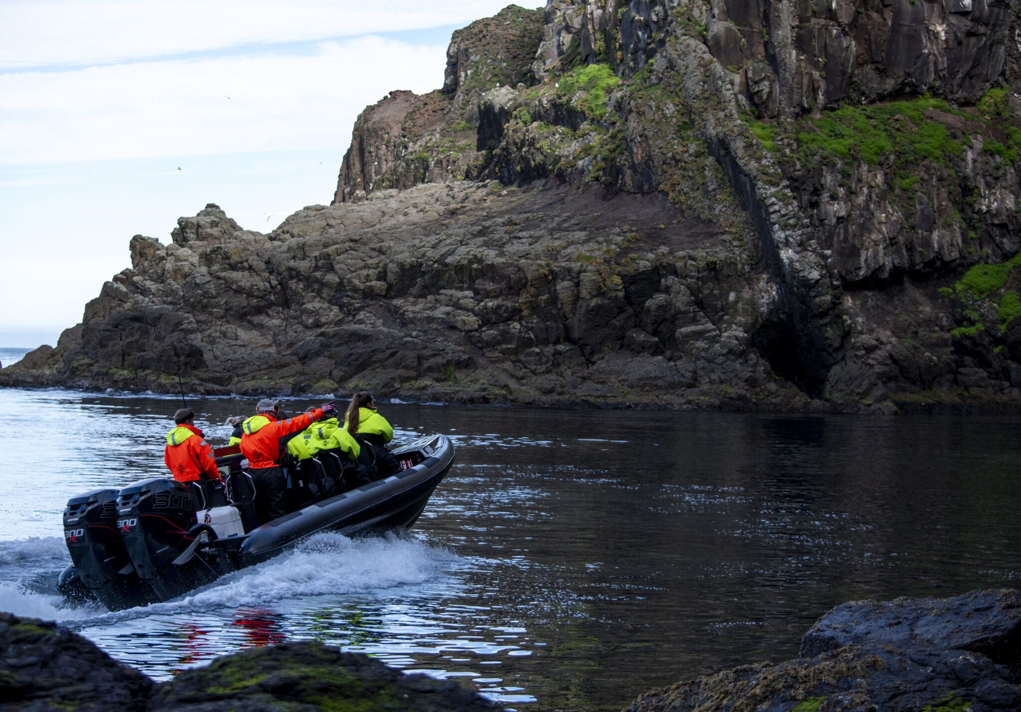 Secret Quest – Nature & Wildlife RIB Safari Private Tour