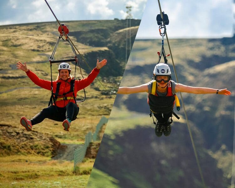 Double Thrill: Wings of the Bird, Flight of the Falcon