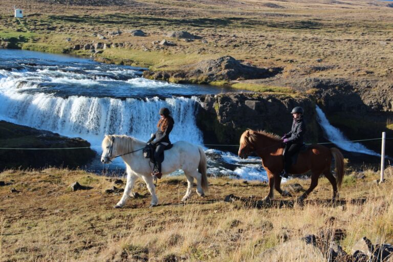 Chasing Waterfalls