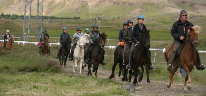 Horse Riding & Golden Circle