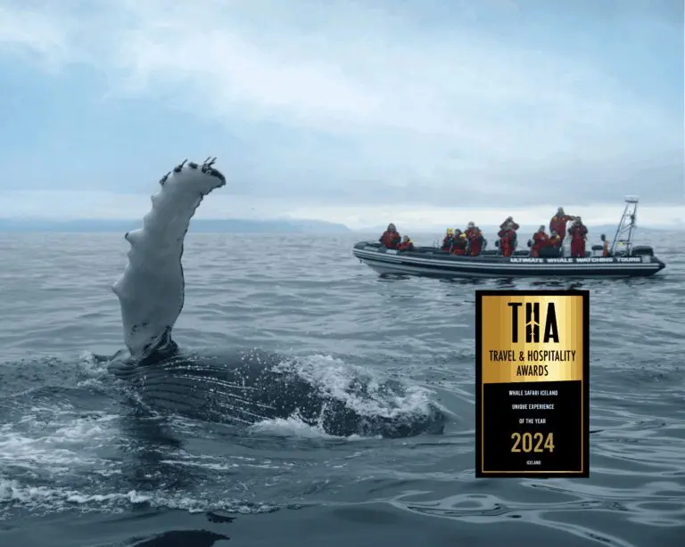 Baleines, macareux et Reykjavík