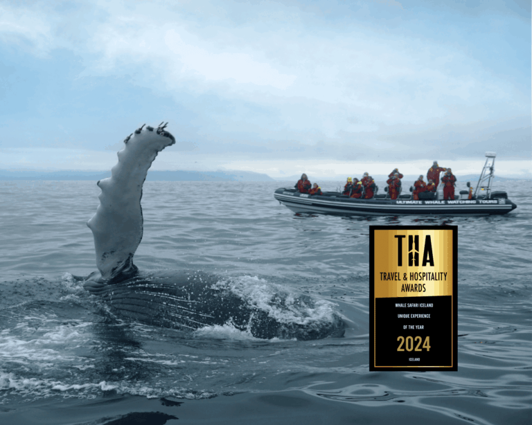 Whales, Puffins & Reykjavík