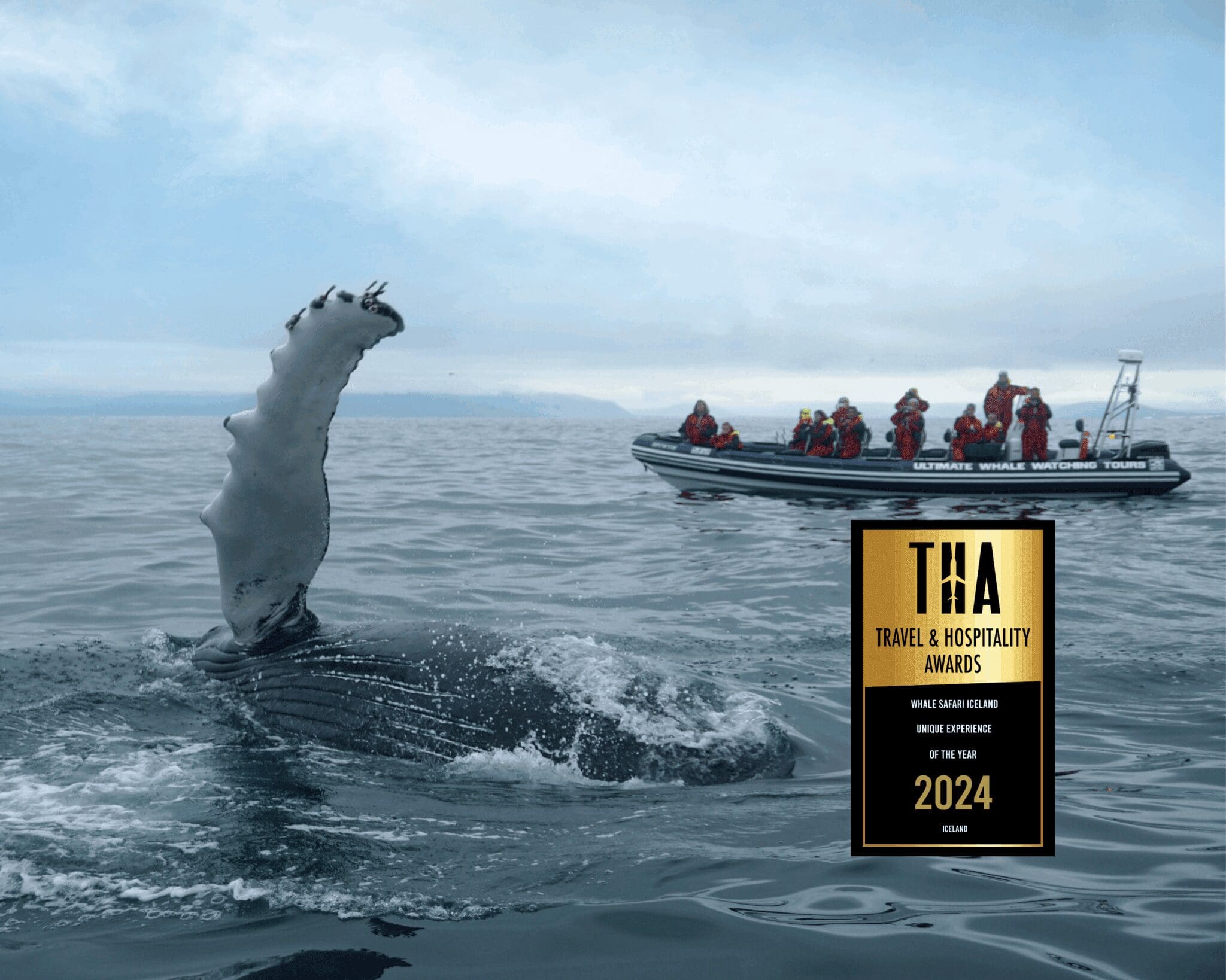 Whales, Puffins & Reykjavík