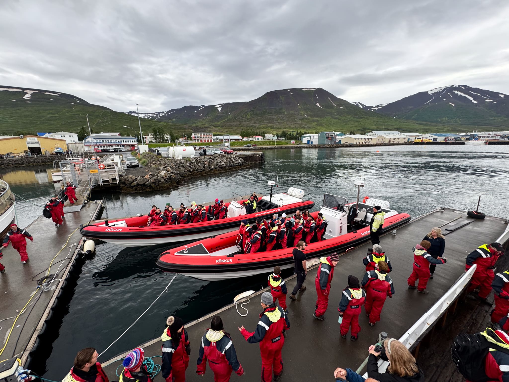 Express Whale Watching From Dalvík
