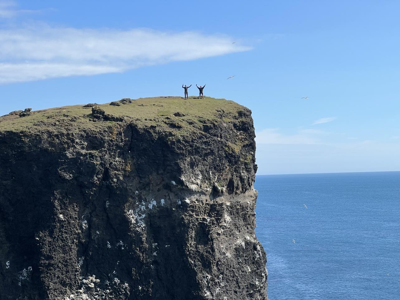 Private Wildcard Adventure