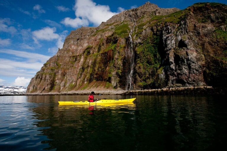 Ghiacciaio Fjords Kayak