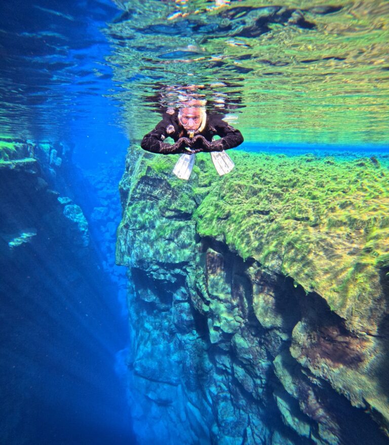 シルフラの大陸間のシュノーケリング = 無料の水中写真