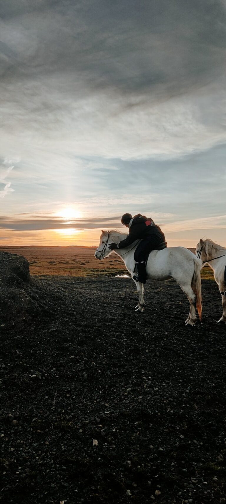 02G – Icelandic Diversity