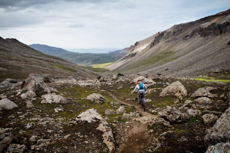 Borgarfjörður eystri: Tour en bicicleta de montaña eléctrica por senderos secretos