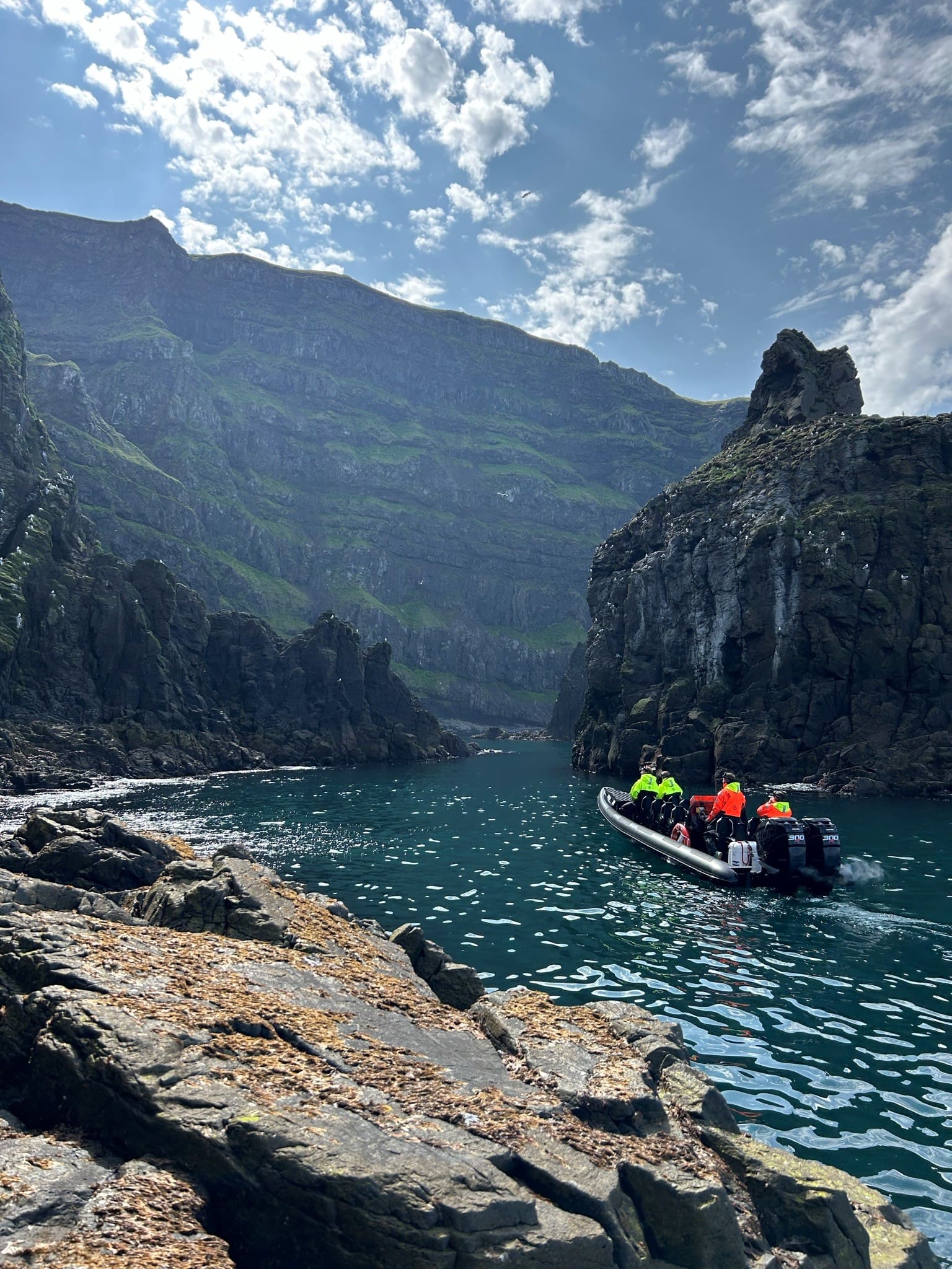 Puffin Quest – Nature & Wildlife RIB safari