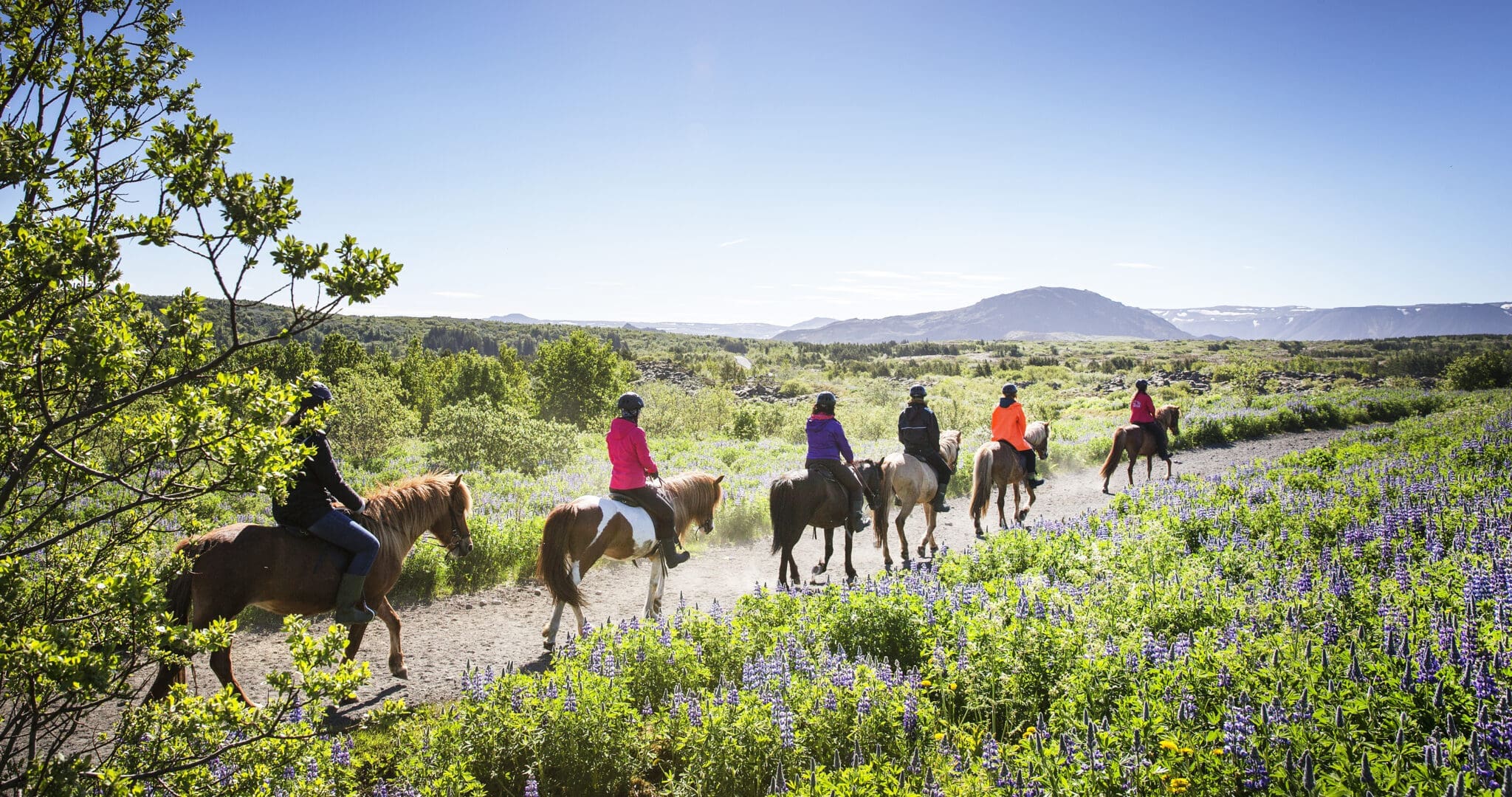 Lava Tour – Horseback Riding through the Lava Fields