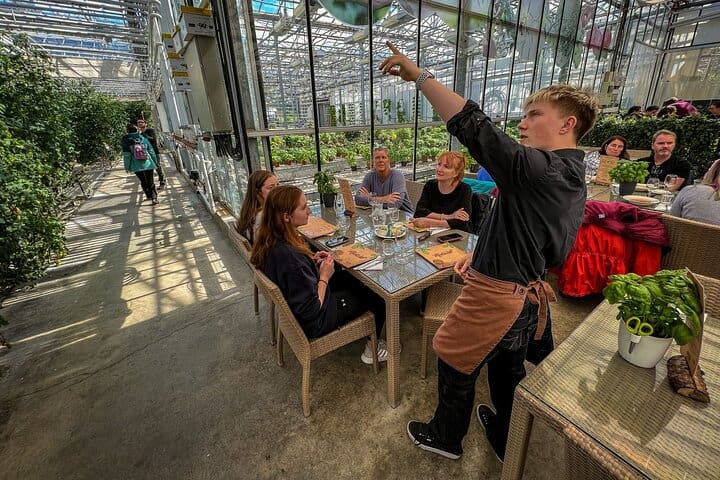 Golden Circle and Lunch at Fridheimar Tomato Farm – with photos