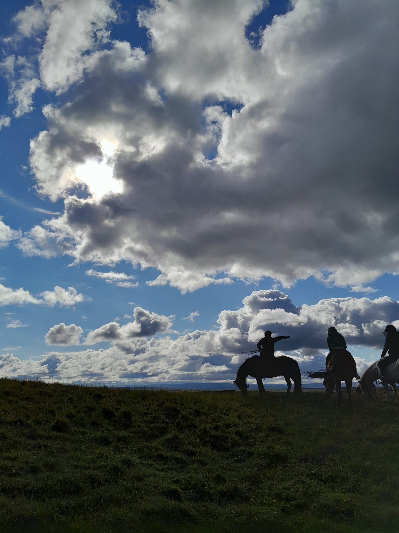 1 hour Riding tour Lake Myvatn area