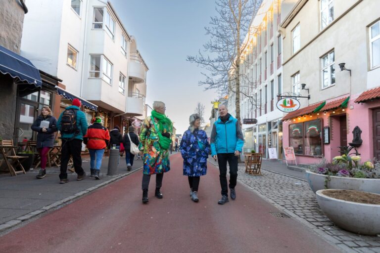 Prywatna wycieczka piesza po zakupach i zwiedzaniu Reykjaviku