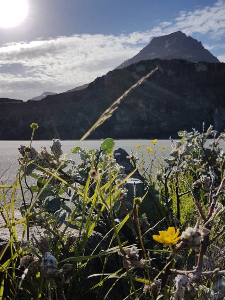 Hólmanes – Nature Reserve: Guided Hike