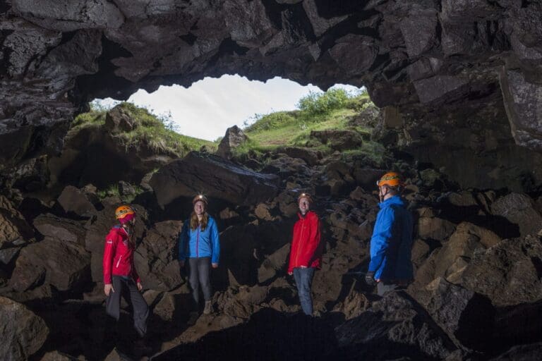 Whale Watching & Caving