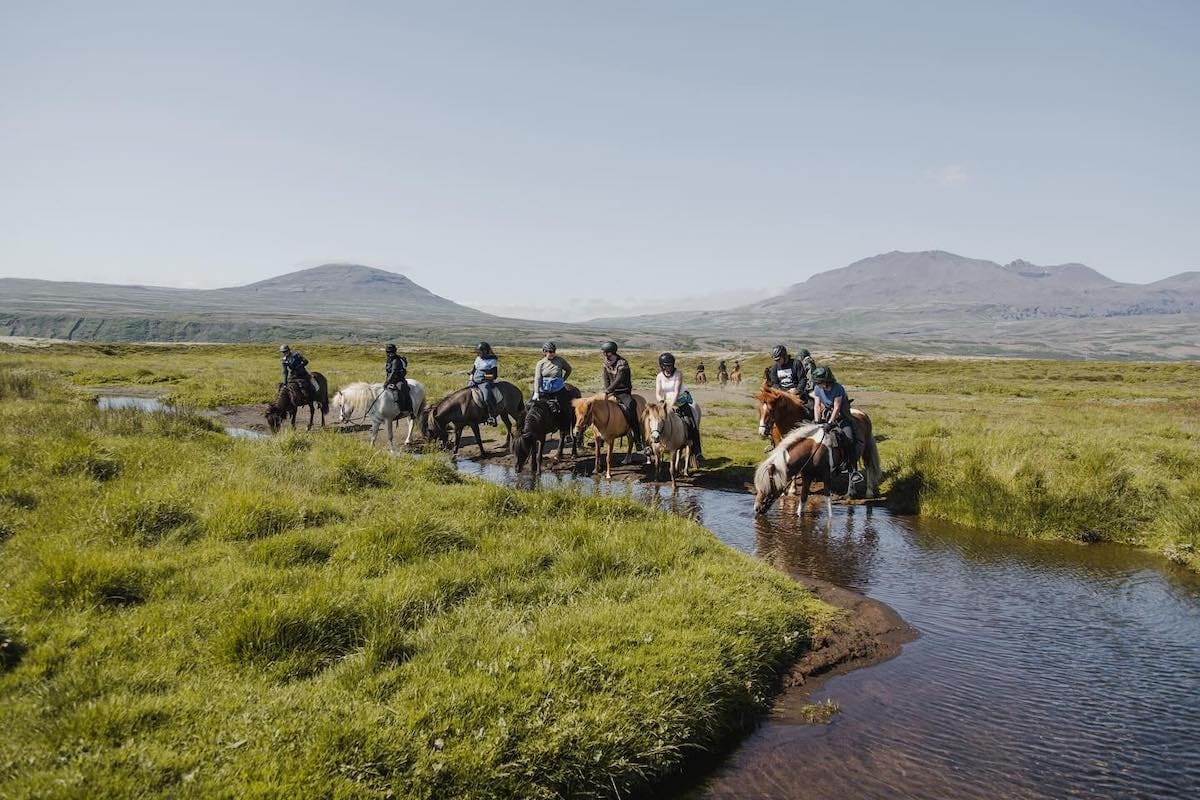 1,5h Trail Ride for All Levels