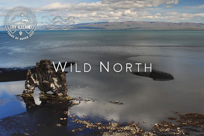 Wild North – Private Tour