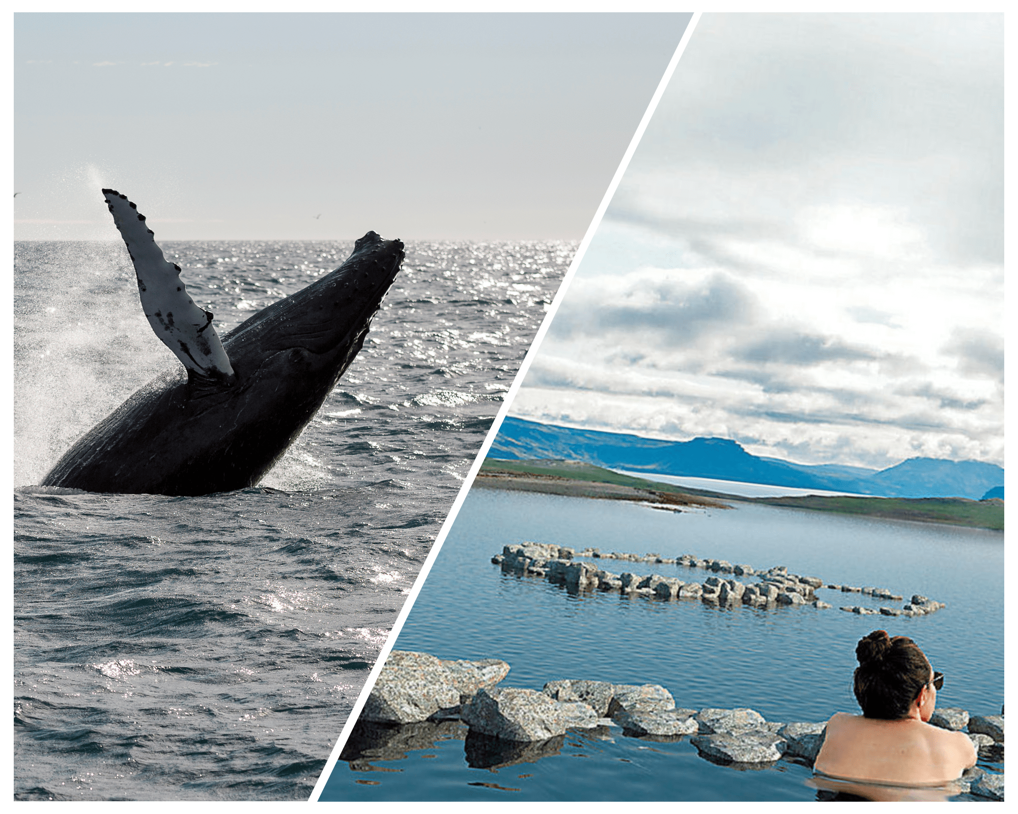 Whale Watching & Hvammsvík Hot Spring: Coastal Excursion and Thermal Retreat