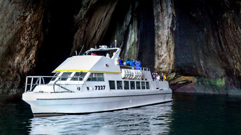 Visite en bateau des macareux, des îles et des volcans
