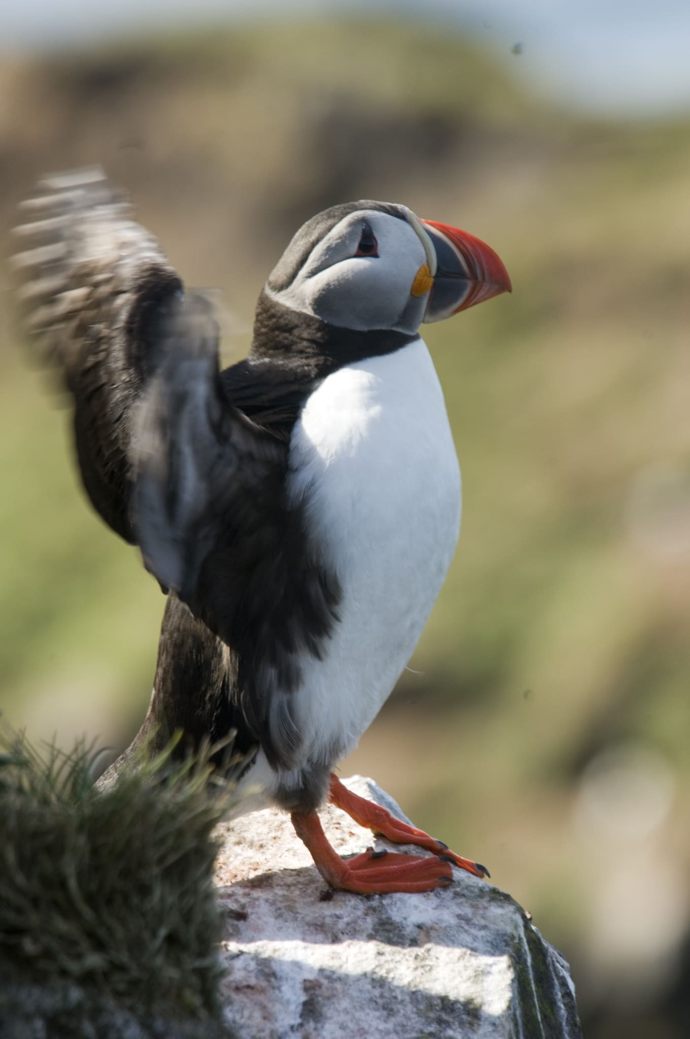 Excellent Birding Sites