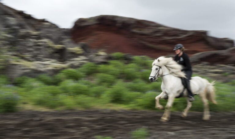 Tour privado a caballo -ñona 2-6 personas