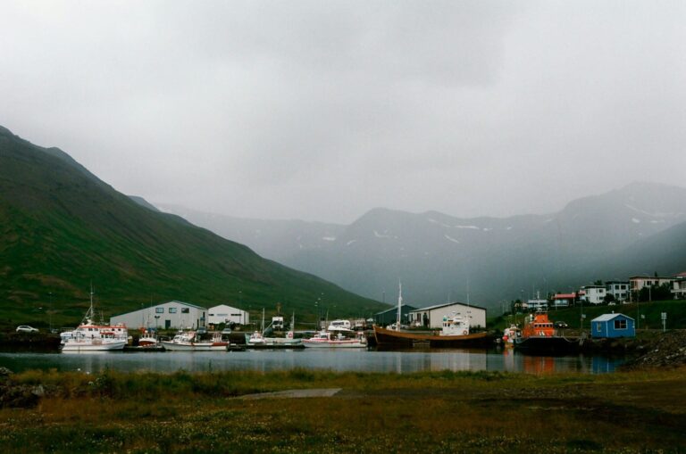 Dal porto di Ísafjörður: tour privato di Ísafjörður