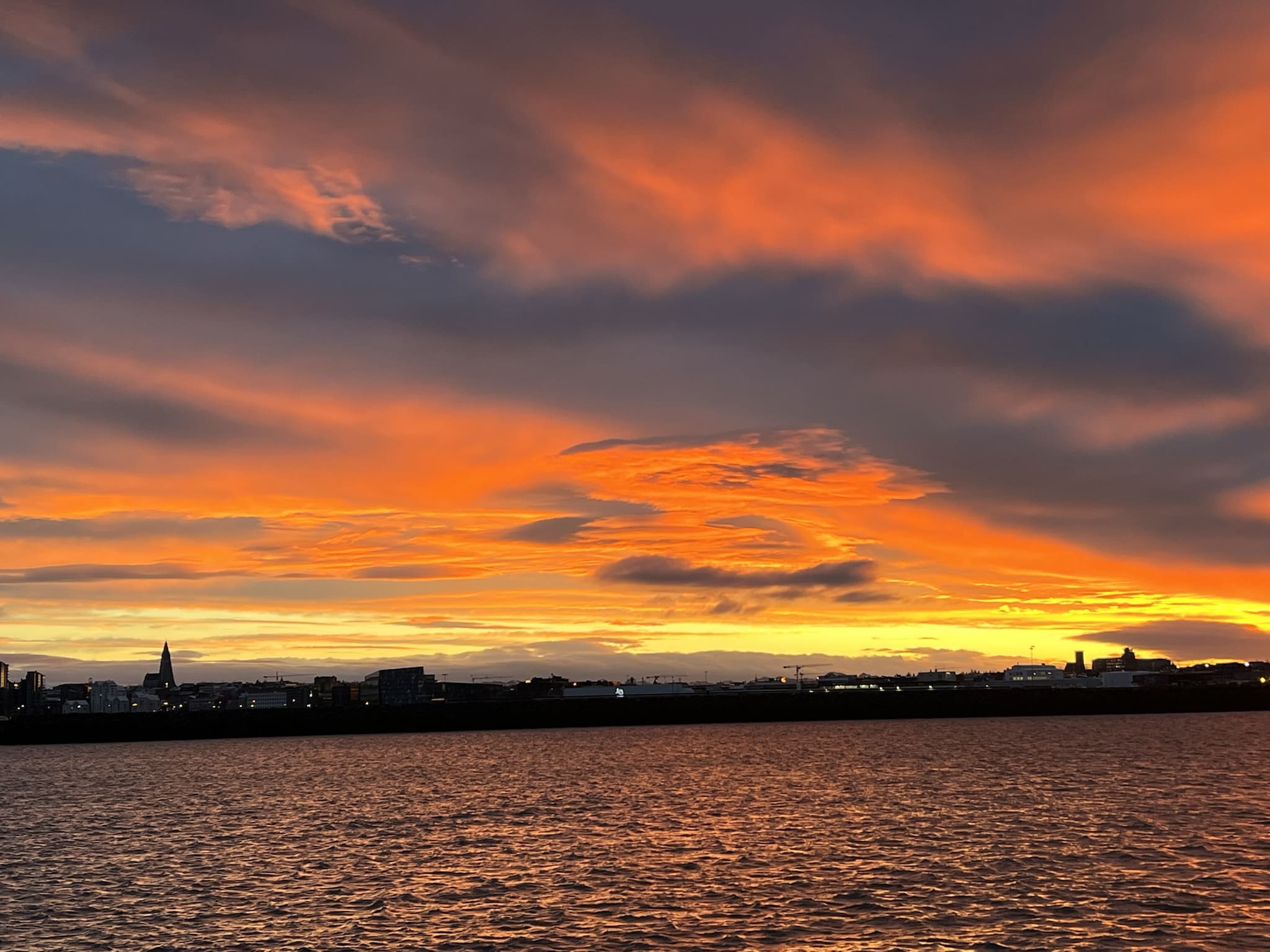 9pm Whale Watching Cruise in the Arctic Sun