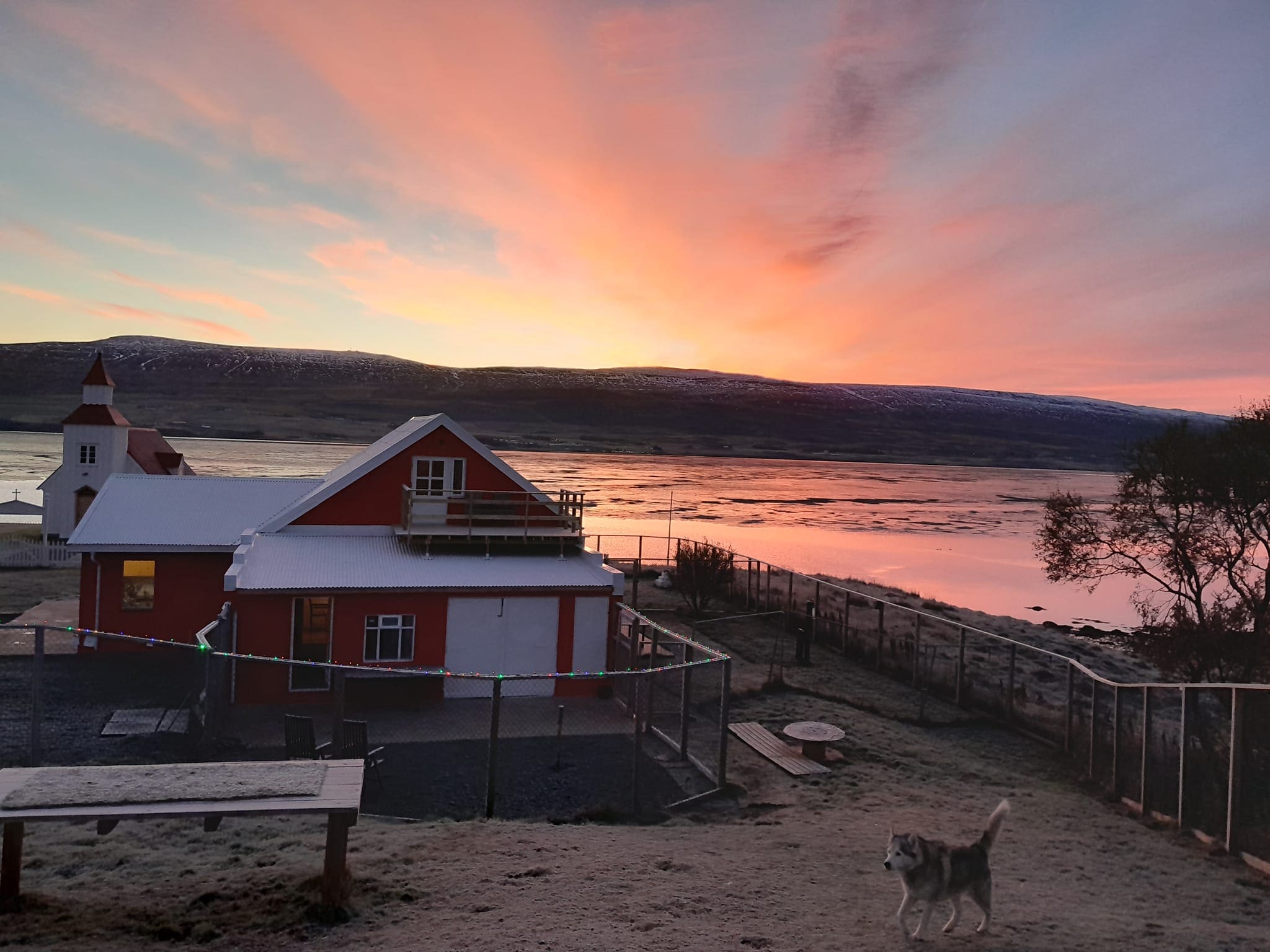 Husky Petting in Akureyri – Private experience