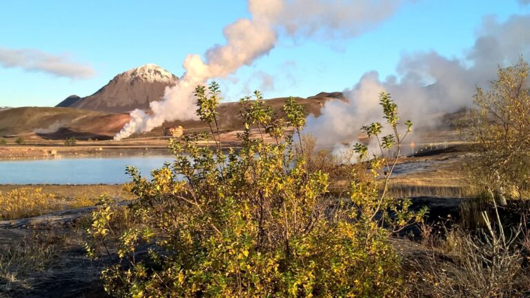 Around Iceland and Westfjords / 10 days