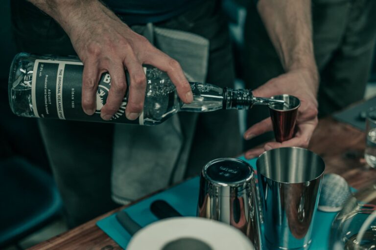 Brennivín Tasting in the Heart of Reykjavík with a Mixologist
