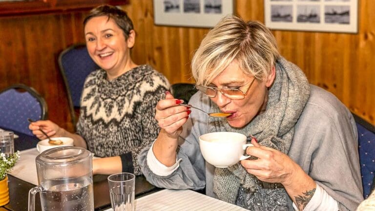 Taste of Reykjavik & Northern Lights Voyage