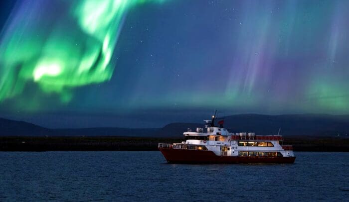 Reykjavík Northern Lights & City Cruise