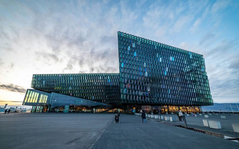 Tour turístico privado a Reykjavík 4 horas