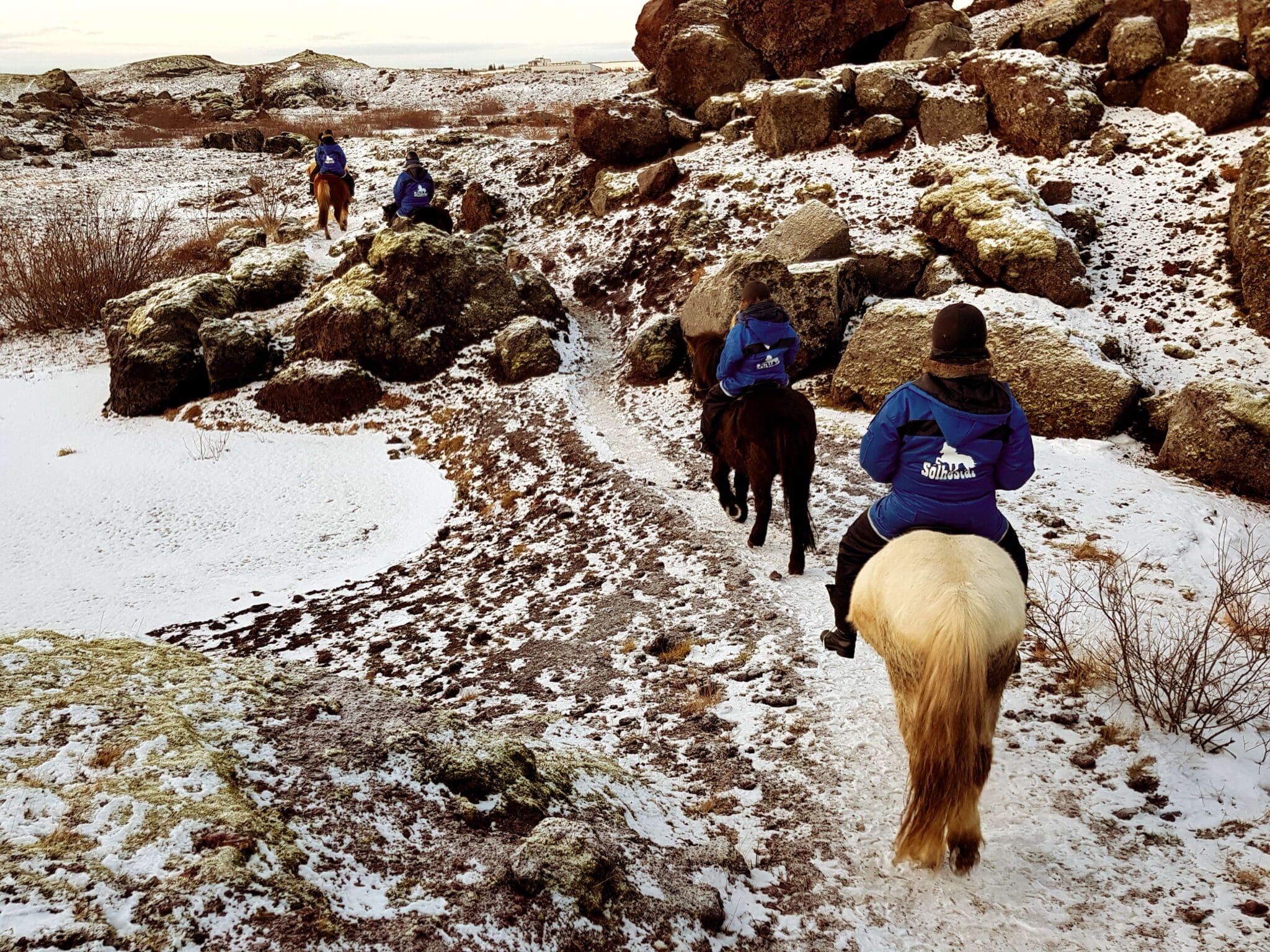 1 Hour – Winter Red lava Tour (With or Without Pick Up)